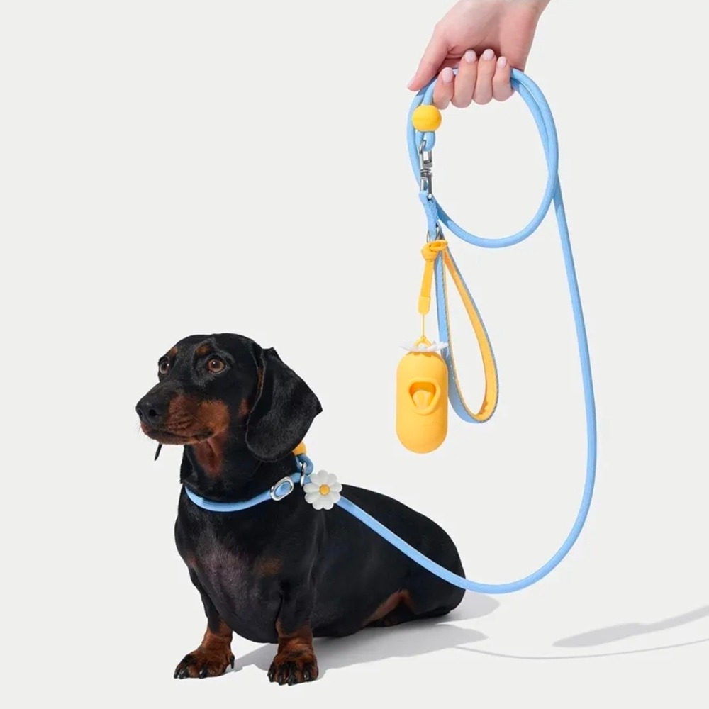 Daisy Blue and Yellow dog leash with matching poop bag dispenser with bags